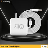OlivLife Universal Smart Phone Charger Cable (12W & Type-C)
