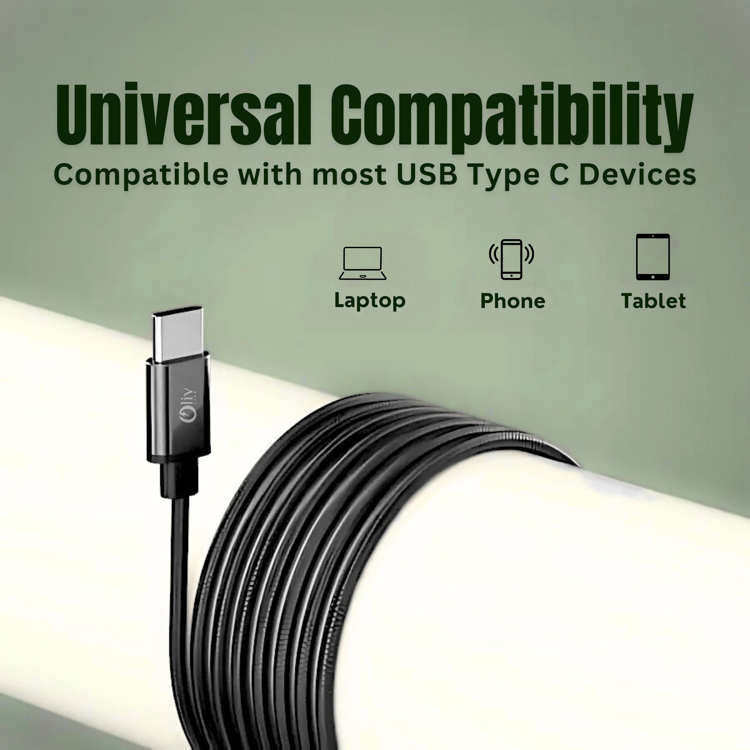 OlivLife USB-C Wired Earphones with Mic